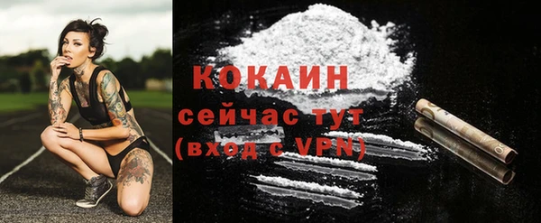 хмурый Покачи