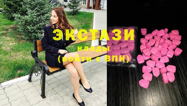винт Галич